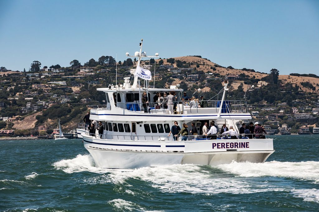Peregrine Cruise Peregrine Cruise
